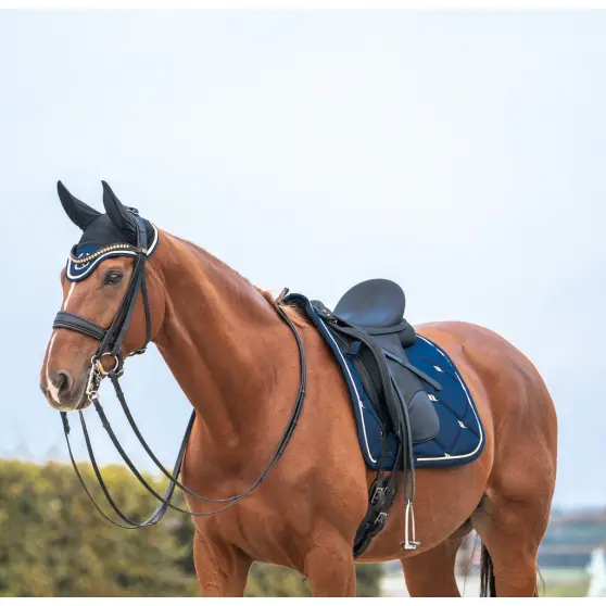 tapis-de-selle-back-on-track-night-collection-dressage.webp