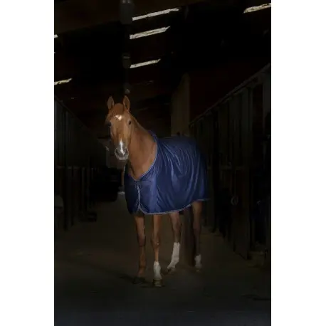 chemise-equitheme-microfleece-standard (1).webp