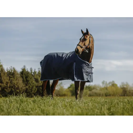 chemise-riding-world-eco-600d-standard.webp