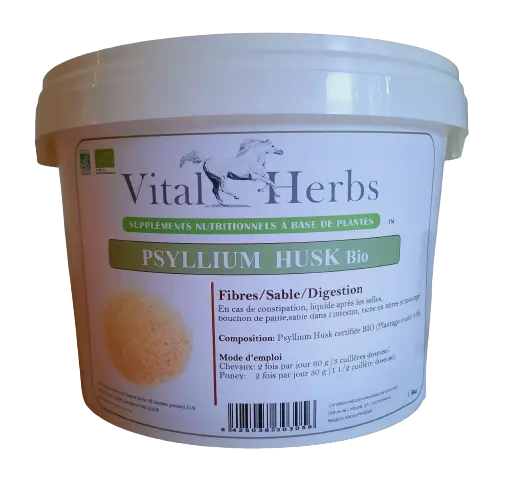 Psyllium Husk Biologique