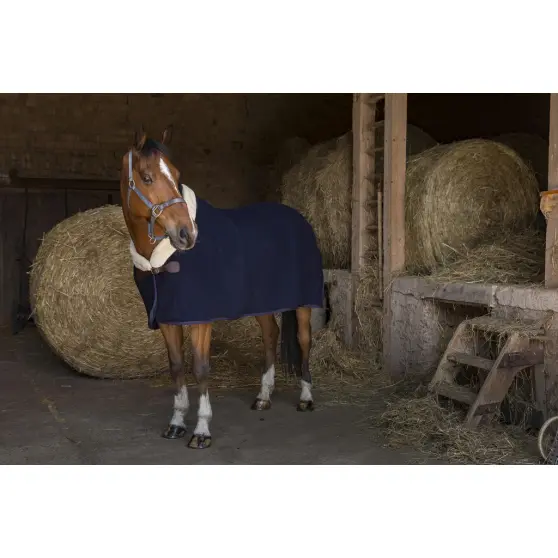 Couverture laine EQUITHÈME Teddy