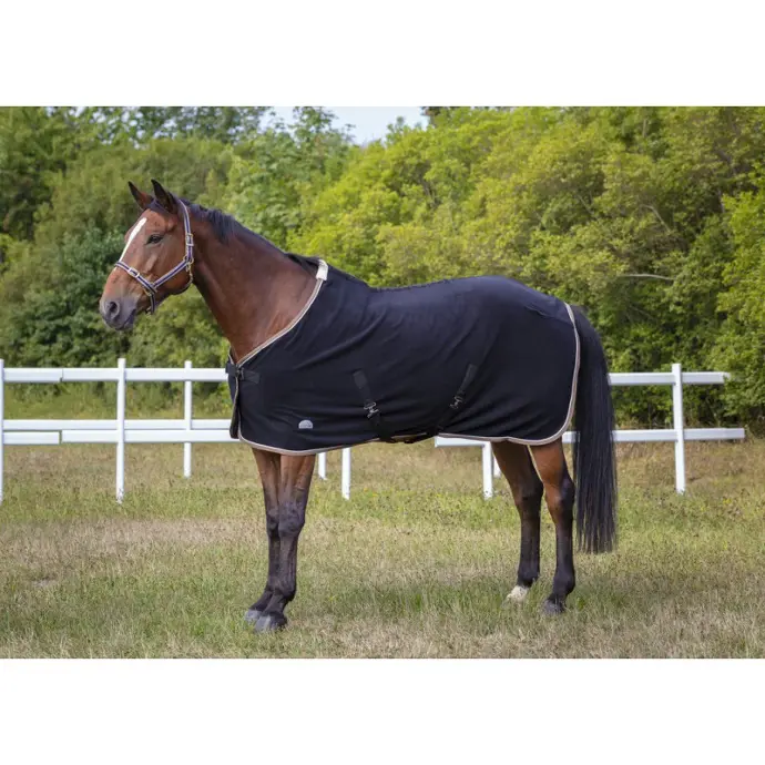 Chemise EQUITHÈME Polyfun