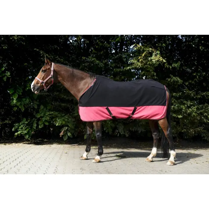 Chemise polaire EQUITHÈME - Standard