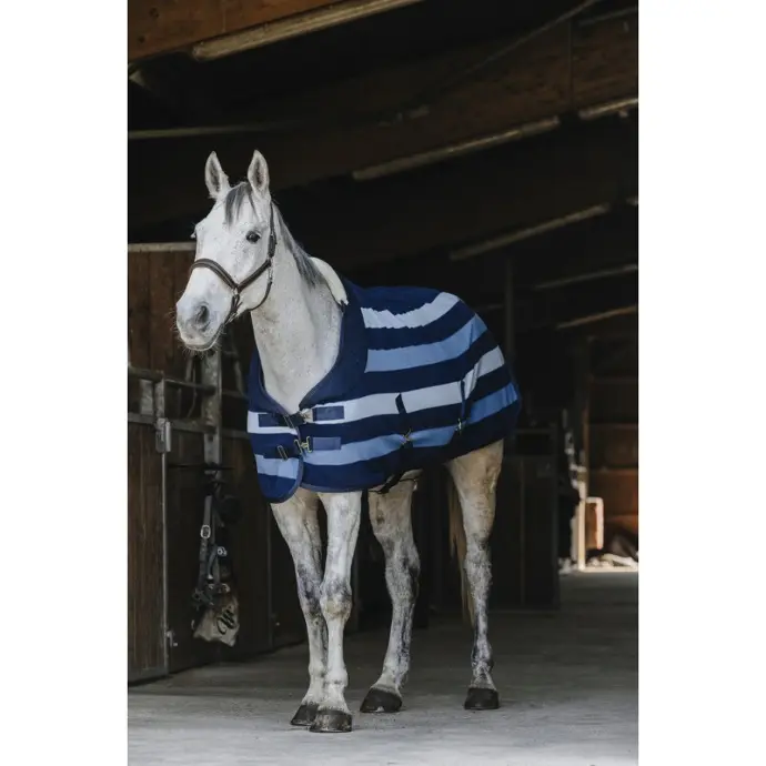 Chemise polaire EQUITHÈME - Confortech