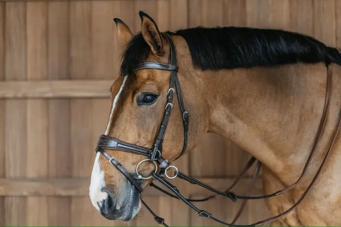 Working Motion Bridle Dy'on