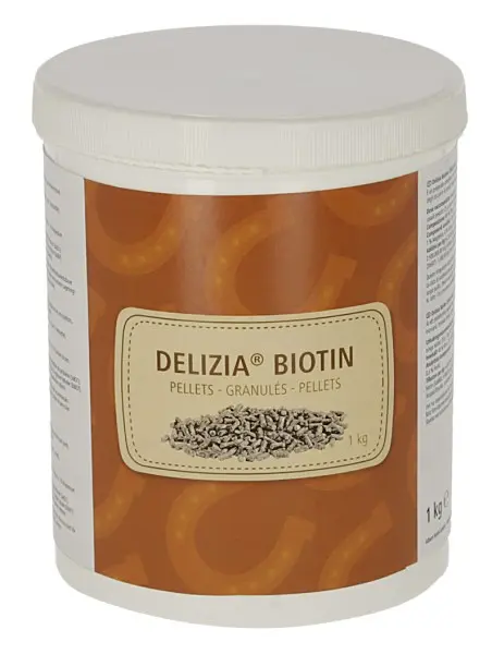 Delizia® Granulés de biotine 1kg 