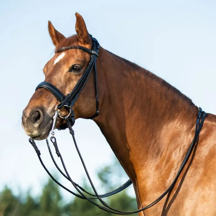 BRIDON ACAVALLO PARNASO ROLLED LEATHER DOUBLE REINS BRIDLE