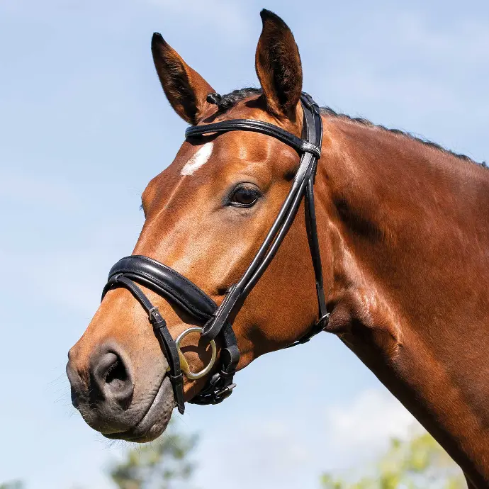 BRIDON ACAVALLO FORNARINA ROLLED LEATHER BRIDLE