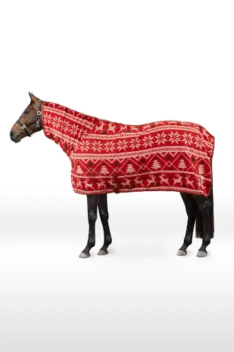 Pull de Noël pour chevaux