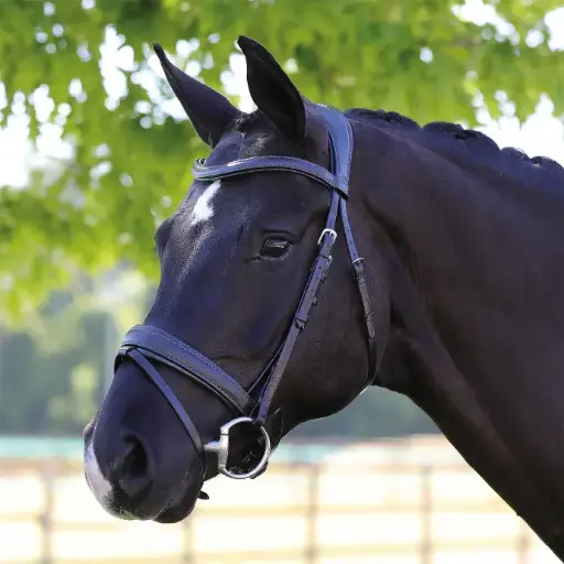 BRIDON ACAVALLO PRIMAVERA LEATHER BRIDLE 