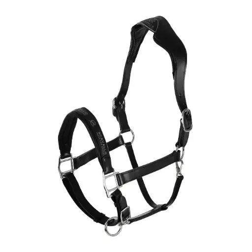 LICOL ACAVALLO LEATHER HALTER WITH ERGONOMIC POLLGUARD - CALFSKIN LINING 